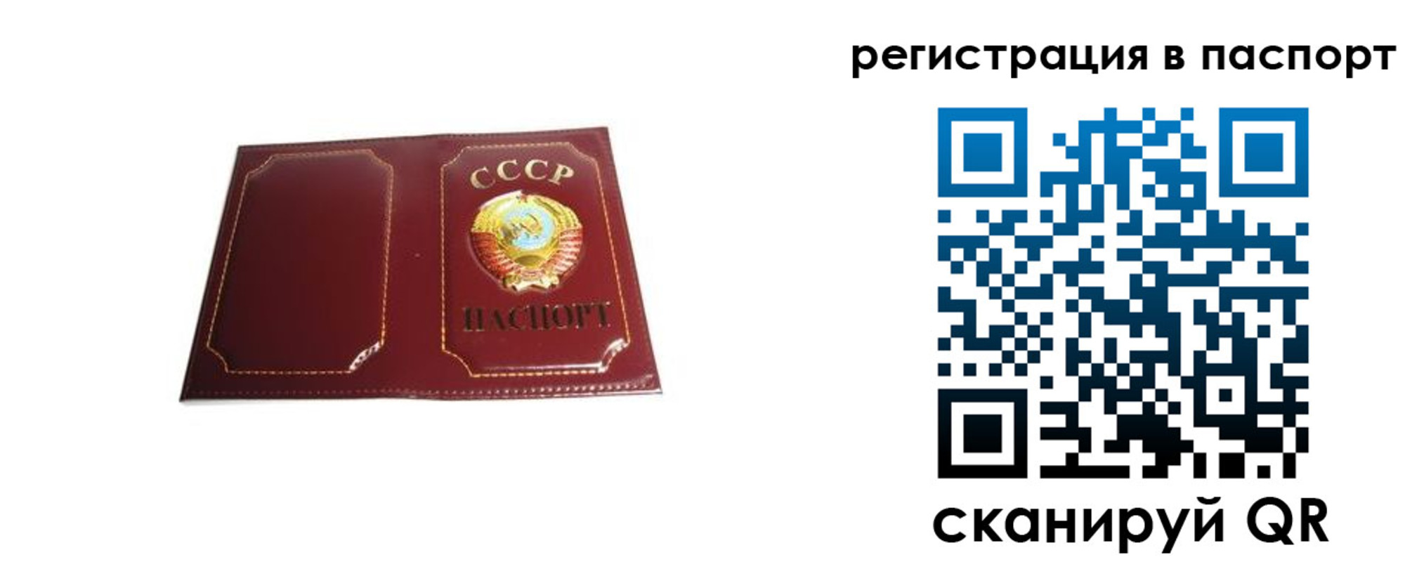 прописка 2025 в Юрьев-Польском